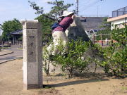 �x�m�R�o�����̂l������