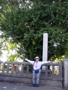 �@�p���̑�C�`���E