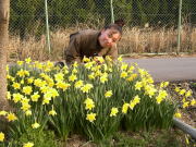 �܌������߂��̐���