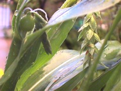 ���삾��7��