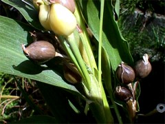 ���삾��10��