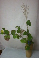 �������ɌX�Ό^