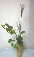 ������ɒ����^