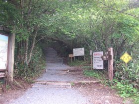 ここから登山道
