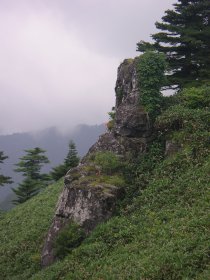 こういうのがね