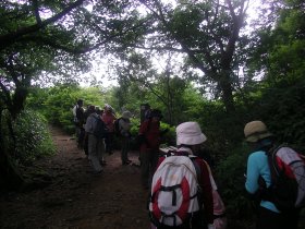 たくさん・・・。