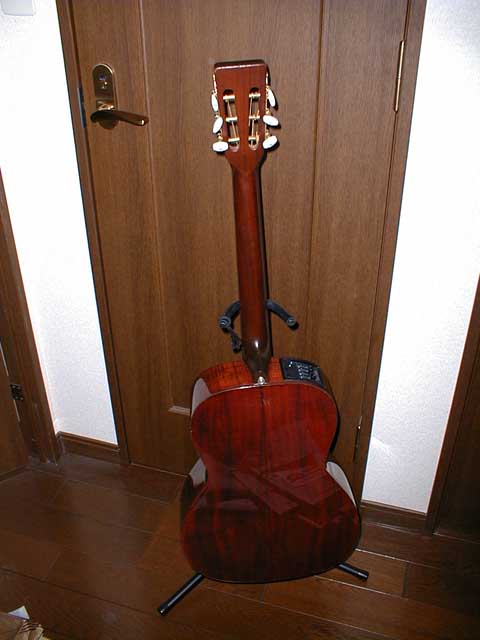 TAKAMINE PT-406 ����