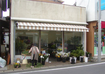 �t�����[�K�[�f�� ��܂���