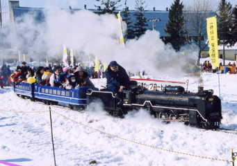 急行「ニセコ」 D51 239牽引 14系客車