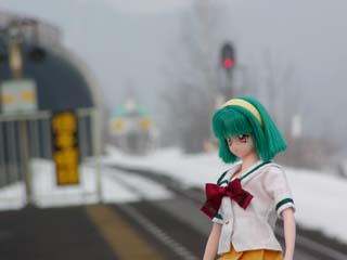 ���q�w��