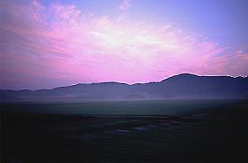 �ԑ�����̒��Ă�