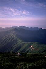 ���̒����A��