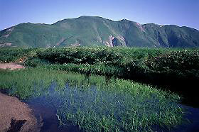 ������t�߂̗Ő�����̈ȓ��x