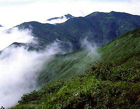 ���]�R���猩�������x