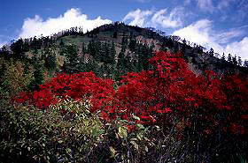 �x�m�����t�߂̍g�t