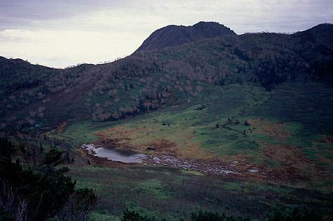 ����r�|�����R