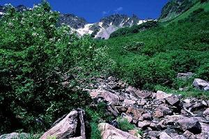 ���򕗌O��