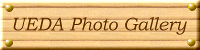 UEDA Photo Grallery