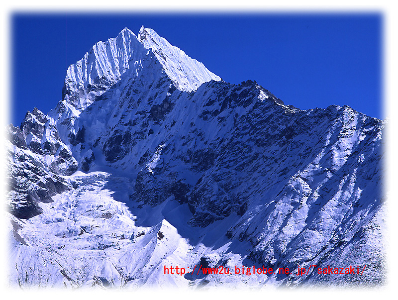 �ǎ��|�l�p�[���A�^���Z���N�U�C�U�Q�R��