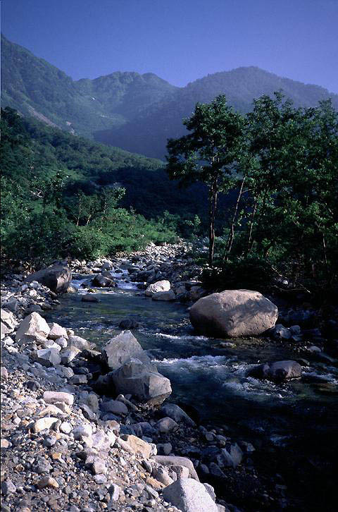 ���苴�t��