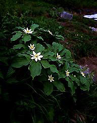 �����t��