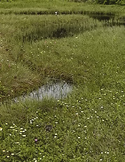 july3a145.jpg (31159 �o�C�g)