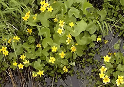 july3a154.jpg (43422 �o�C�g)