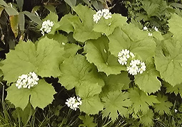 july3a161.jpg (32403 �o�C�g)