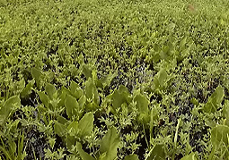 july3a20.jpg (42393 �o�C�g)