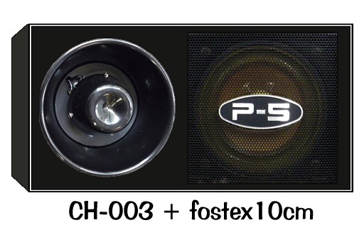 �R�[���X�s�[�J�[�Ƃ̑g�ݍ��킹