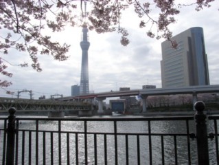 �t���[��