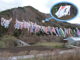 �t���[��