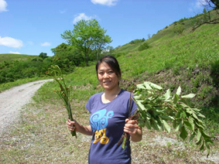 �t���[��