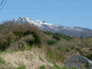 �t���[��