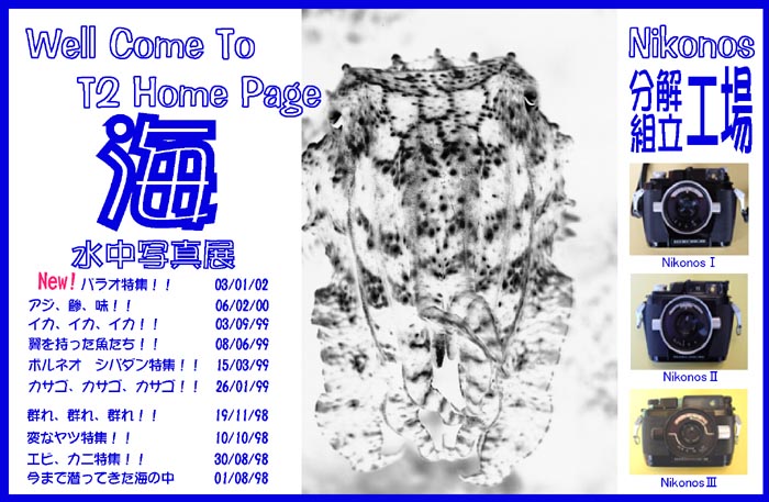 Well Come To T2 Home Page