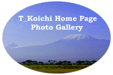 T_Koichi Home Page