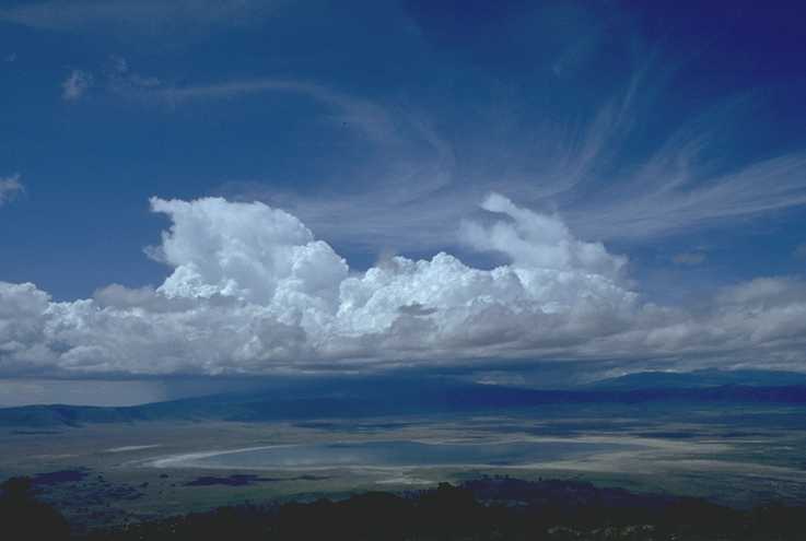 Ngorongoro