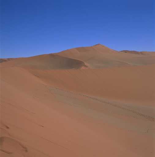 Namib Desert 2