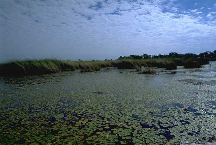 Okavango Delta