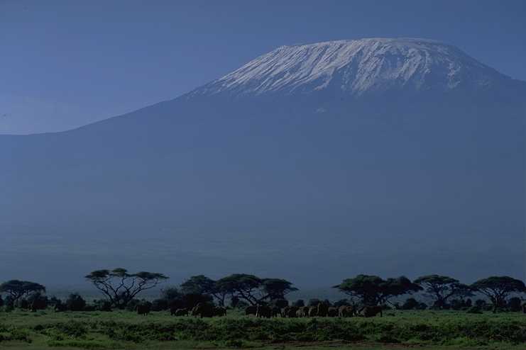 Mt. Kilimanjaro 2