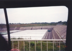 �჌�x���p����