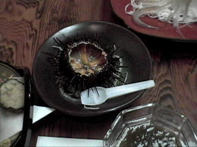 ���������Ă���I�E�j�B�Ђ�`�I�I�I