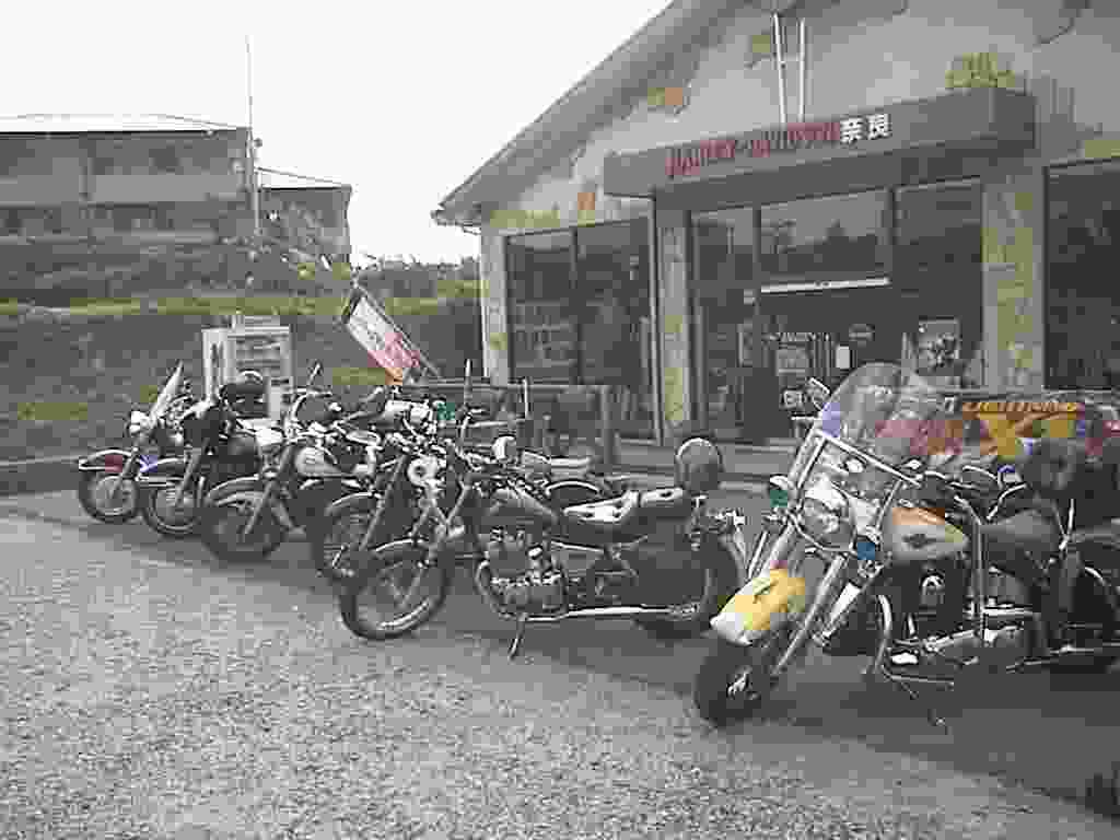 �n�[���[�ޗǓX