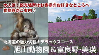 北海道観光　旭山動物園と富良野観光