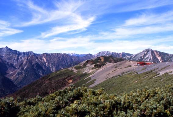 �����x�q���b�e