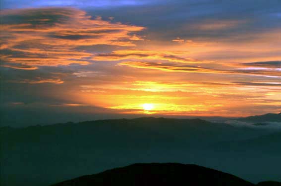 �����x����̂�����