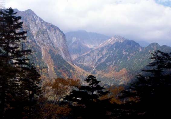 �����J�̏H�i�F