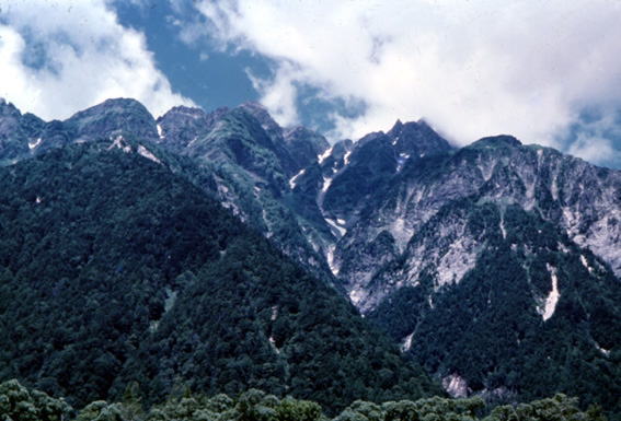 ���_����