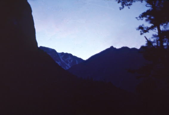 �����̒�