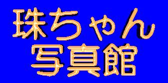 �삿��� �ʐ^��